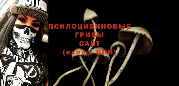 прущие грибы Арсеньев