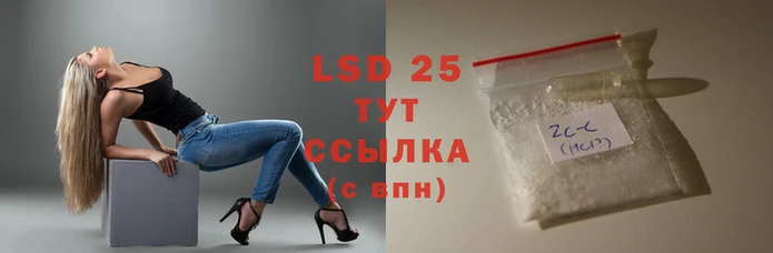 прущие грибы Арсеньев
