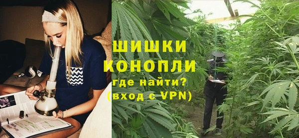 прущие грибы Арсеньев