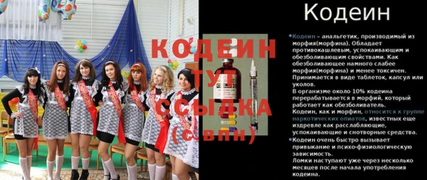 прущие грибы Арсеньев