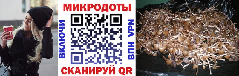Псилоцибиновые грибы Psilocybine cubensis  где продают наркотики  MEGA онион  Люберцы 